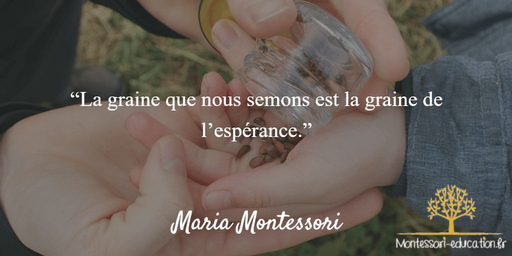 Citations De Maria Montessori Montessori Education