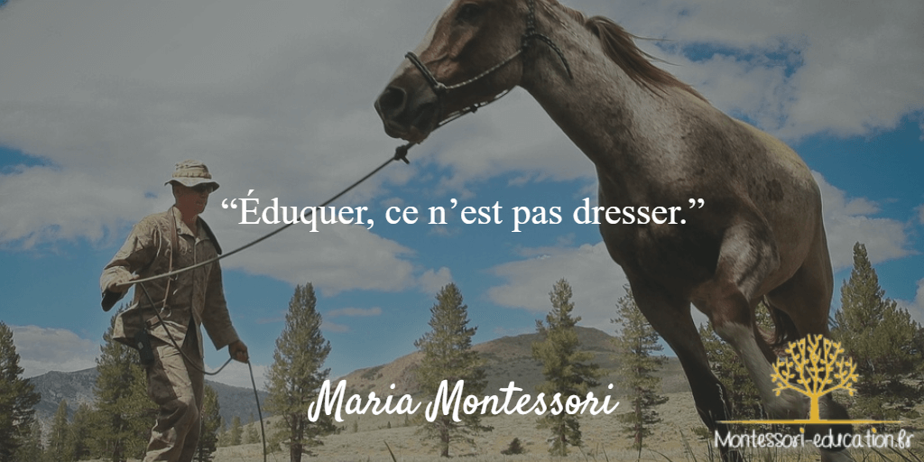 Citation-4-maria-montessori