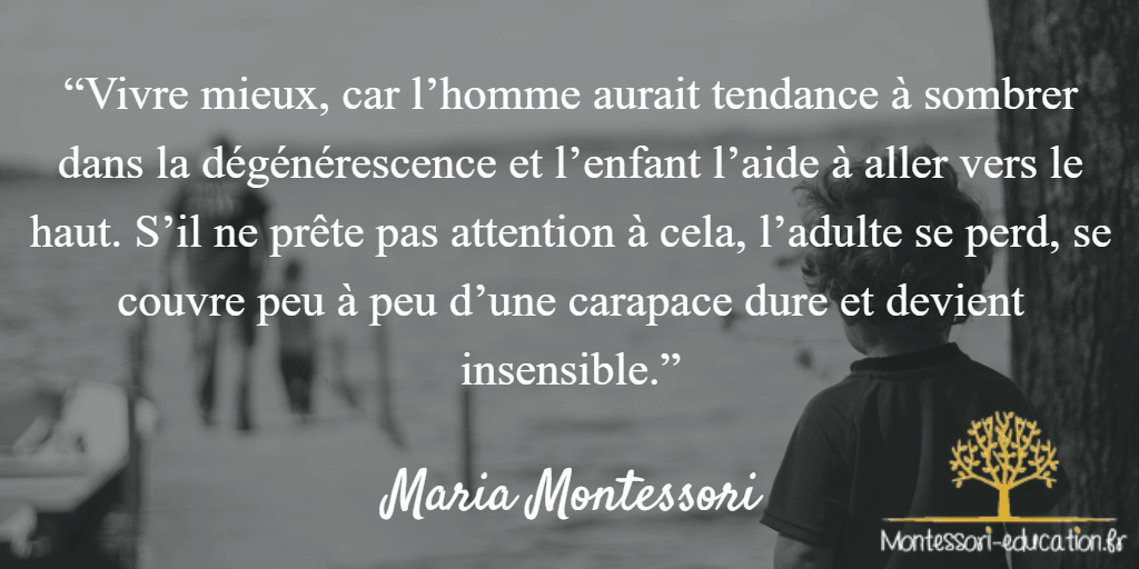 Citations De Maria Montessori Montessori Education