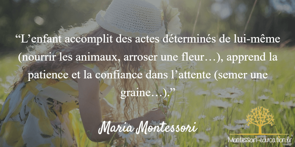 Citation-8-maria-montessori