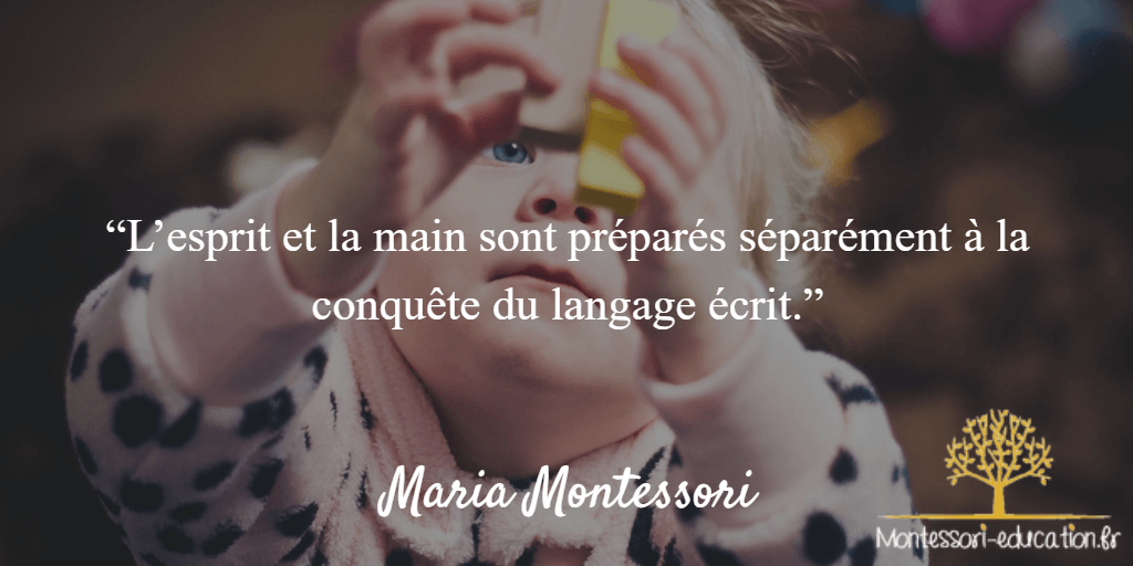 Citations De Maria Montessori Montessori Education