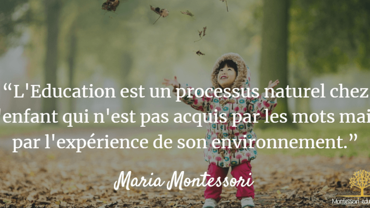 Citations De Maria Montessori Montessori Education