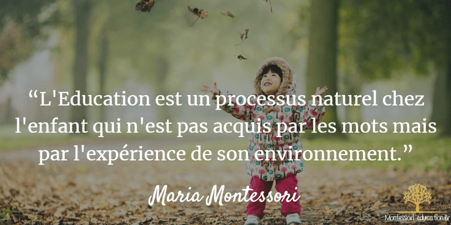 citation-maria-montessori